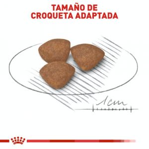 masqrotas_pet_croqueta_royal_canin_small-cachorro_.jpg