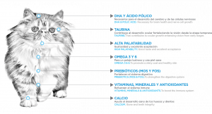 masqrotas_pet_croqueta_nupec_felino_kitten_.png