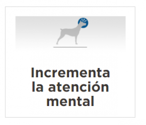 masqrotas_pet_croqueta_purina_proplan_active_mind_razas_pequenas_.png