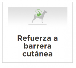 masqrotas_pet_croqueta_purina_proplan_adult_razas_pequenas_.png