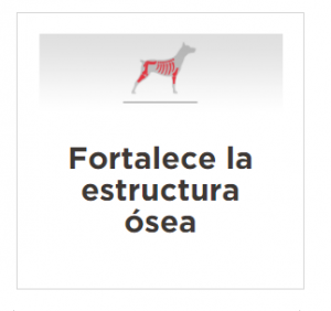 masqrotas_pet_croqueta_purina_proplan_delicate_structure_razas_minis_y_pequenas_.png