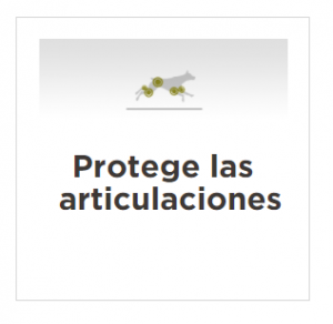 masqrotas_pet_croqueta_purina_proplan_performance_adult_.png