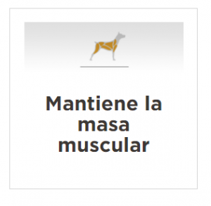 masqrotas_pet_croqueta_purina_proplan_reduced_calorie_.png