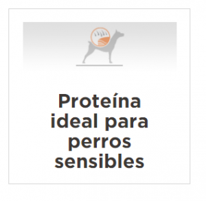 masqrotas_pet_croqueta_purina_proplan_sensitive_skin_puppy_todas_las_razas_.png