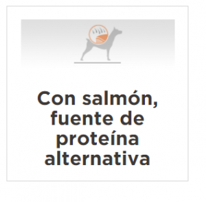 masqrotas_pet_croqueta_purina_proplan_sensitive_skin_salmon_y_arroz_.png