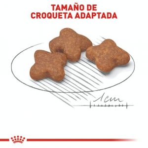 masqrotas_pet_croqueta_royal_canin_small-mature_.jpg