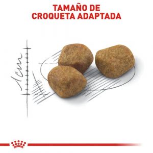 masqrotas_pet_croqueta_royal_canin_adult-fit_.jpeg