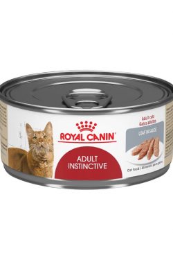 masqrotas_pet_lata_royal_canin_adutfit-wet_.jpeg