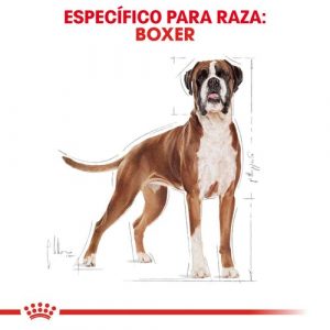 masqrotas_pet_croqueta_royal_canin_boxer_.jpeg