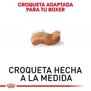 masqrotas_pet_croqueta_royal_canin_boxer_.jpeg