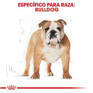 masqrotas_pet_croqueta_royal_canin_bulldog-adult_.jpeg