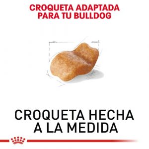 masqrotas_pet_croqueta_royal_canin_bulldog-adult_.jpeg