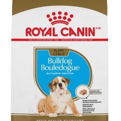 masqrotas_pet_croqueta_royal_canin_bulldog-puppy_.jpeg