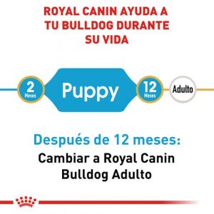 masqrotas_pet_croqueta_royal_canin_bulldog-puppy_.jpeg