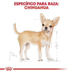 masqrotas_pet_croqueta_royal_canin_chihuahua-adult_.jpeg