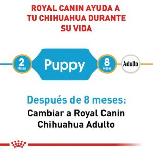 masqrotas_pet_croqueta_royal_canin_chihuahua-puppy_.jpeg