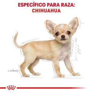 masqrotas_pet_croqueta_royal_canin_chihuahua-puppy_.jpeg