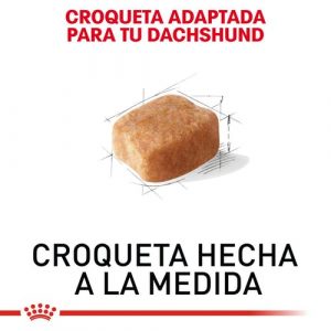 masqrotas_pet_croqueta_royal_canin_dachshund_.jpeg