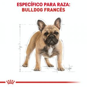 masqrotas_pet_croqueta_royal_canin_french-bulldog_.jpeg