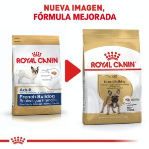 masqrotas_pet_croqueta_royal_canin_french-bulldog_.jpeg