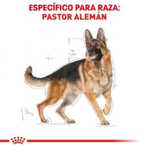 masqrotas_pet_croqueta_royal_canin_german-shepherd_.jpeg