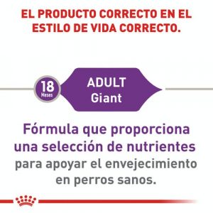 masqrotas_pet_croqueta_royal_canin_giant-adult_.jpg