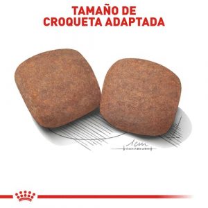 masqrotas_pet_croqueta_royal_canin_giant-adult_.jpg