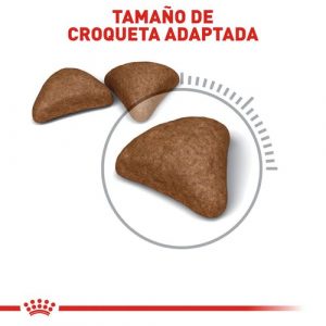 masqrotas_pet_croqueta_royal_canin_hairball_.jpeg