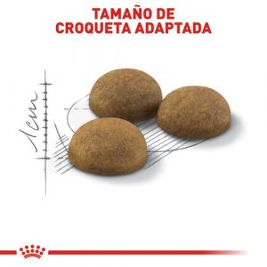 masqrotas_pet_croqueta_royal_canin_indoor-adult_.jpeg