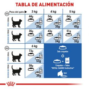 masqrotas_pet_croqueta_royal_canin_indoor-adult_.jpeg