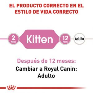 masqrotas_pet_croqueta_royal_canin_kitten_.jpeg