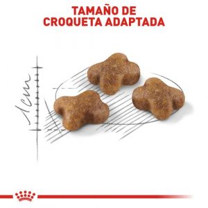 masqrotas_pet_croqueta_royal_canin_kitten_.jpeg