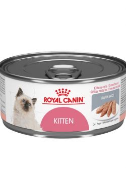 masqrotas_pet_lata_royal_canin_kitten-front_.jpeg