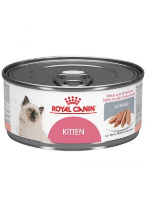 masqrotas_pet_lata_royal_canin_kitten-front_.jpeg