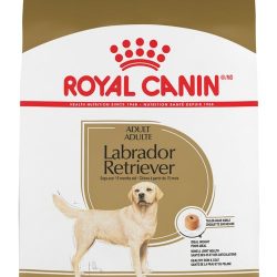 masqrotas_pet_croqueta_royal_canin_labrador-retriever_.jpeg