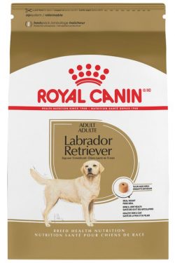 masqrotas_pet_croqueta_royal_canin_labrador-retriever_.jpeg