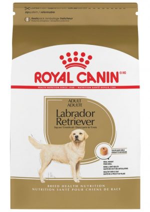 masqrotas_pet_croqueta_royal_canin_labrador-retriever_.jpeg