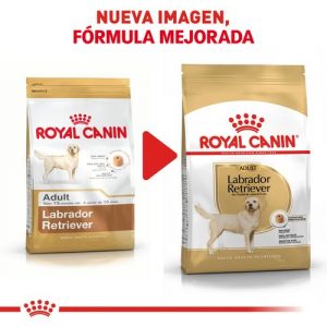 masqrotas_pet_croqueta_royal_canin_labrador-retriever_.jpeg