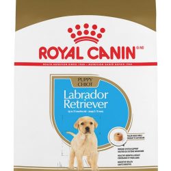 masqrotas_pet_croqueta_royal_canin_labrador-retriever-puppy_.jpeg