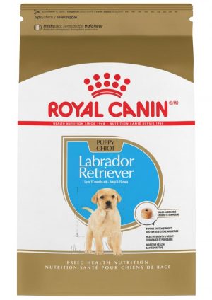 masqrotas_pet_croqueta_royal_canin_labrador-retriever-puppy_.jpeg