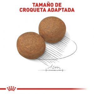 masqrotas_pet_croqueta_royal_canin_large-adult_.jpg