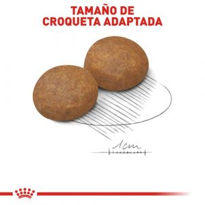 masqrotas_pet_croqueta_royal_canin_large-adult-5_.jpg