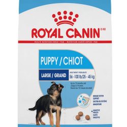 masqrotas_pet_croqueta_royal_canin_large_puppy_.jpg