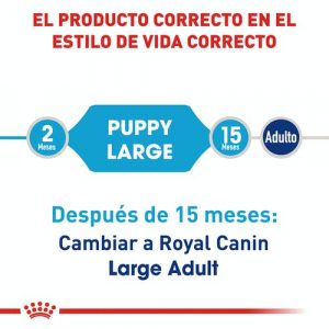 masqrotas_pet_croqueta_royal_canin_large_puppy_.jpg