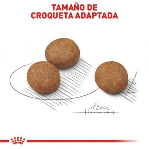 masqrotas_pet_croqueta_royal_canin_large_puppy_.jpg