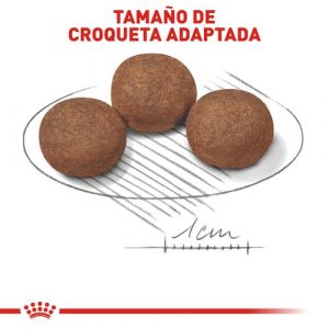 masqrotas_pet_croqueta_royal_canin_medium-puppy_.jpg