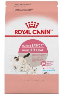 masqrotas_pet_croqueta_royal_canin_mother-babycat_.jpeg