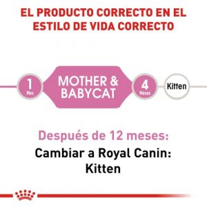 masqrotas_pet_croqueta_royal_canin_mother-babycat_.jpeg