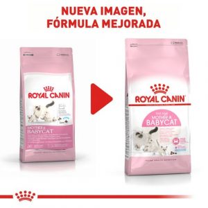 masqrotas_pet_croqueta_royal_canin_mother-babycat_.jpeg