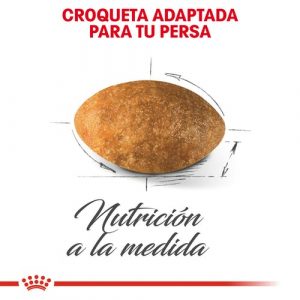 masqrotas_pet_croqueta_royal_canin_persian-adult_.jpeg